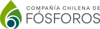 Fosforos fundación