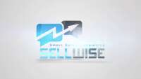 Sellwise - smart sales consulting