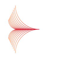Tender service s.r.l.