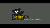 Bighug fx gmbh