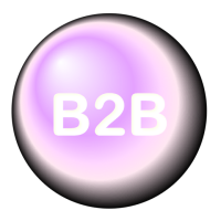 B2b global ltd