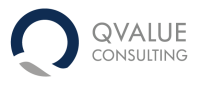 Value consulting srl