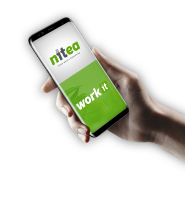 Nitea it solutions