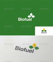 Biofuel usa corp