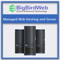 Bigbirdweb