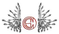 Ornamentum ex medio
