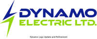 Dynamo electrical