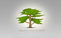 Allied consultants house