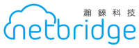 Netbridge global inc.