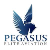 Elite aviation network inc