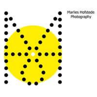 Marlies hofstede photography