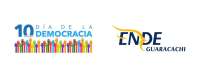Ende guaracachi