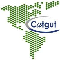 Catgut gmbh