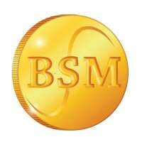 Sbsm, management of companies and institutions