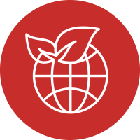 Fair trade lebanon