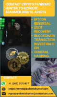 CONTACT CRYPTO PANDEMIC HUNTER TO RETRIEVE SCAMMED DIGITAL ASSETS