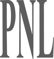 Pnl global limited