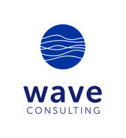 Brilliant wave consulting