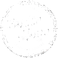 Bossa nova brazilian cuisine