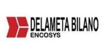 Pt. delameta bilano