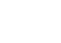 Dna web development