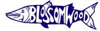 Blossomwood Swimming Association