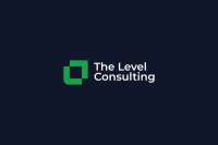 On the level consulting