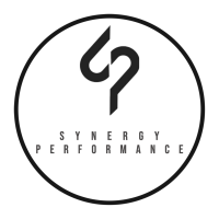 Sinergy performance