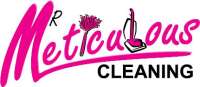 Mr meticulous cleaning