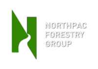 Dalniy vostok forestry group limited