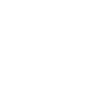 Avenir projects