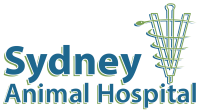 Sydney animal hospital in sydney