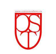 Crimson sabres woodsball team
