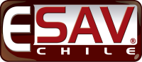 Sociedad de inversiones y servicios industriales esav chile limitada