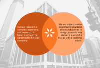 Bright research partners