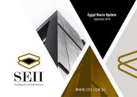 Saudi egyptian industrial investment company