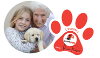Smart pups assistance dogs for special needs kids