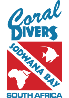 Coral divers