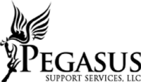 Pegasus support services, llc