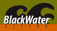 Blackwater subsea, llc.