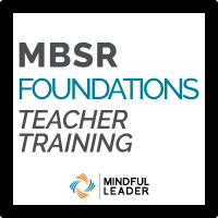 Mbsr training
