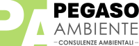 Pegaso ambiente srl