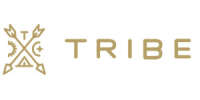 Interactive tribe gmbh
