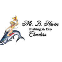 Ms B Haven Fishing And Eco Charters