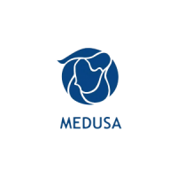 Medusa mining limited