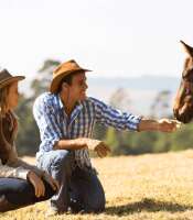 Mike williams country & western clothing