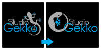 Studio gekko
