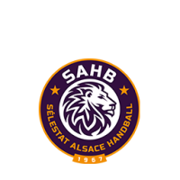 Selestat alsace handball (d1)
