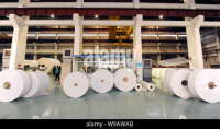 Shandong asia pacific ssymb pulp & paper co., ltd.