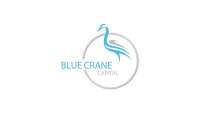 Blue crane capital